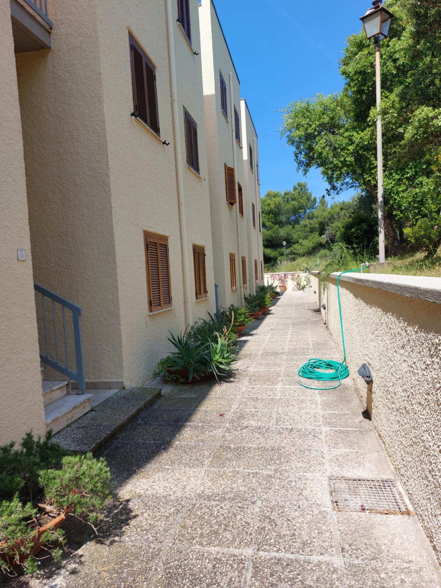La Mia Casa A Talamone Apartment ภายนอก รูปภาพ